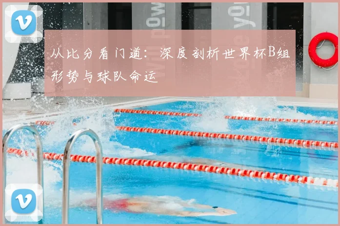 从比分看门道:深度剖析世界杯B组形势与球队命运