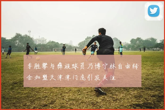 季胜攀与彝族球员乃博宁林自由转会加盟天津津门虎引发关注