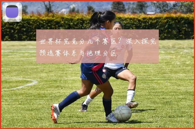 世界杯究竟分几个赛区？深入探究预选赛体系与地理分区