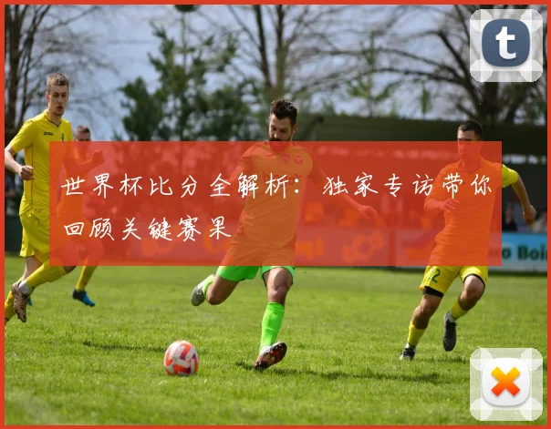 世界杯比分全解析：独家专访带你回顾关键赛果