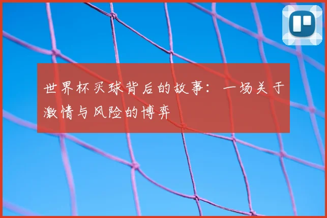 世界杯买球背后的故事：一场关于激情与风险的博弈