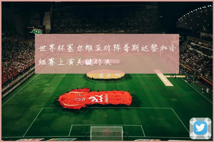 世界杯塞尔维亚对阵哥斯达黎加小组赛上演关键对决