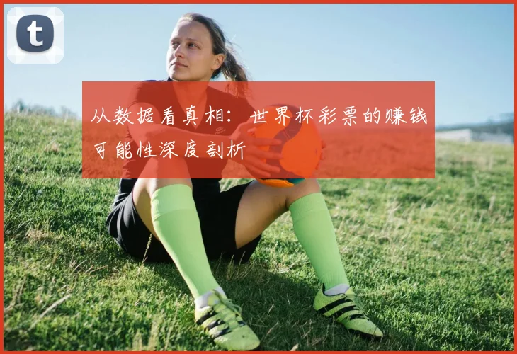从数据看真相：世界杯彩票的赚钱可能性深度剖析